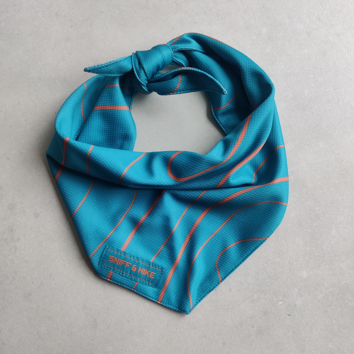 Bandana Topo Blue