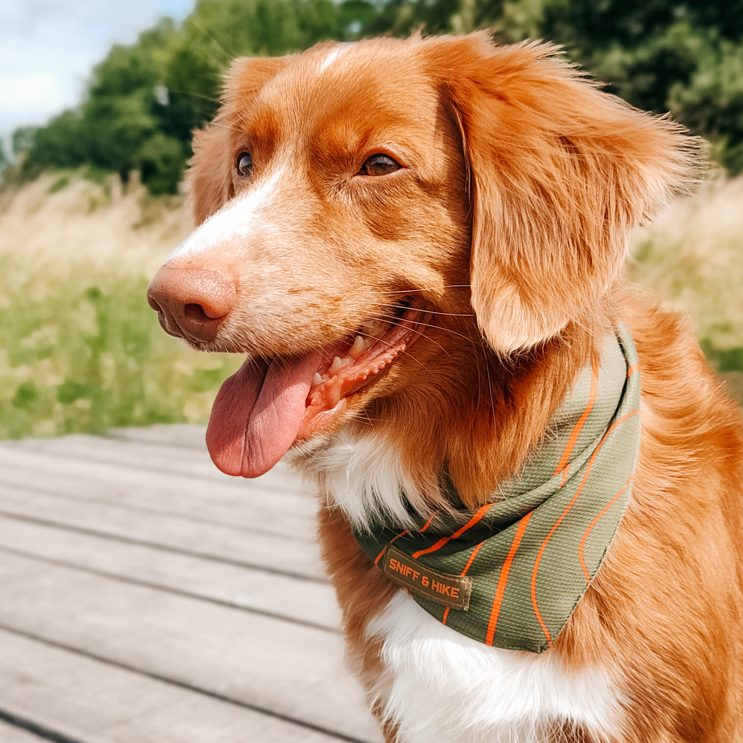 Bandana Topo Red